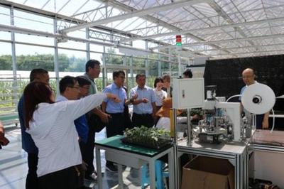 技術賦能特色產業 山東省農業技術推廣中心助力曲堤黃瓜菜農增收